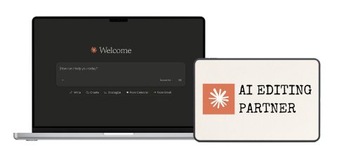 AI Editing Partner